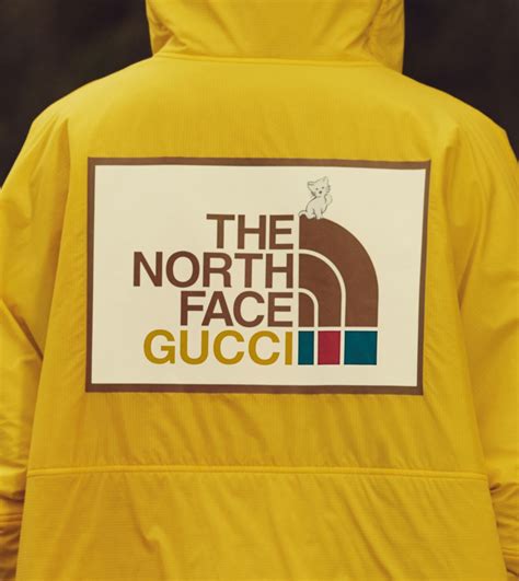 northface gucci collab|north face gucci shop online.